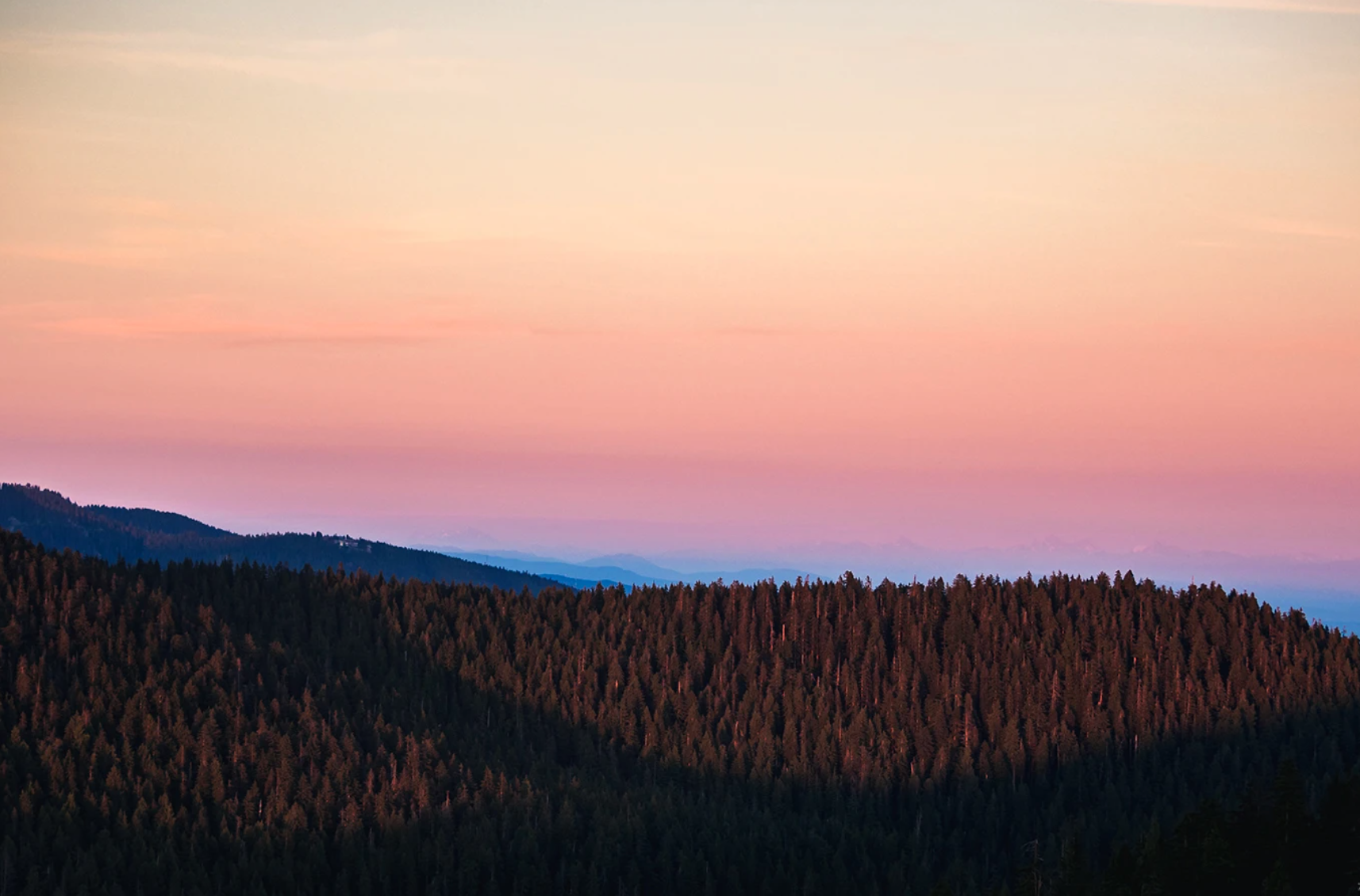 sunsetting behind a vast forrest